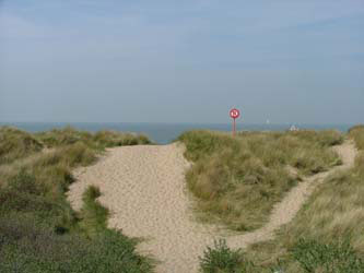 20.cote-dunes-oyats