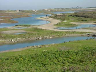 23. relief-basse B-littoral-côte-zwin