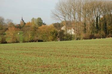 45.relief-moyenne-B-paysage-Brabant-wallon