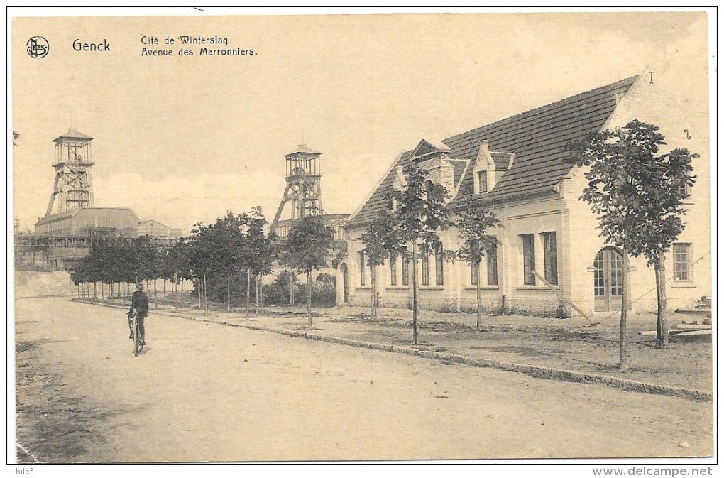 La Cite de Winterslag