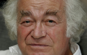 écrivain engagé-pierre mertens